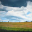 Himmel mit dunklen und weißen Wolken über einer weiten, grünen Landschaft, Ölmalerei, Landschaftsmalerei, Naturbild, Auftragsmalerei Nikolaus Kriese, künstlerische Darstellung.