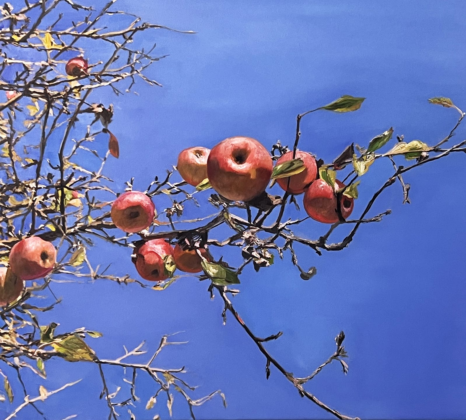 kunstkopie äpfel am apfelbaum für pipilotti rist los angeles