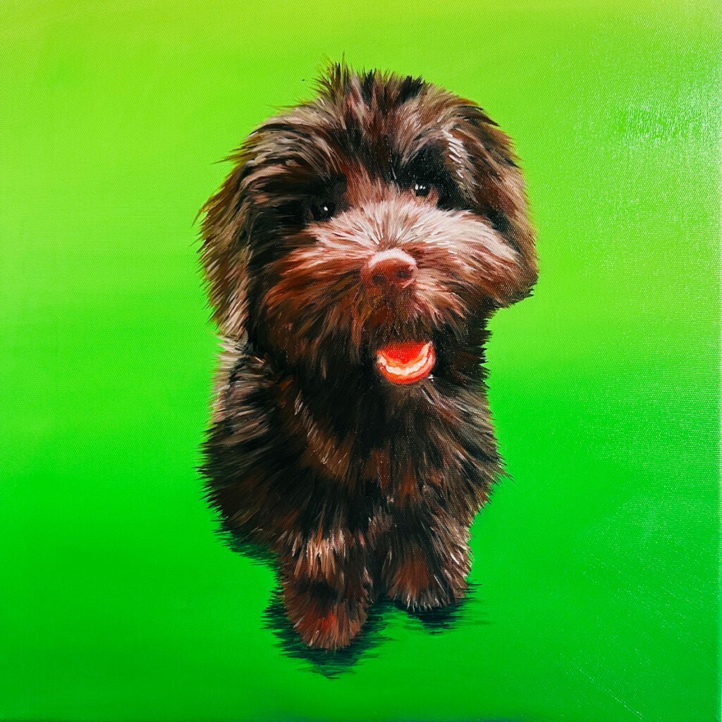 Hündchen porträtiert, kolorierte Tiermalerei, Auftragsmalerei Hund, realistisches Haustierporträt, individuelle Handgemalte Tierkunst.