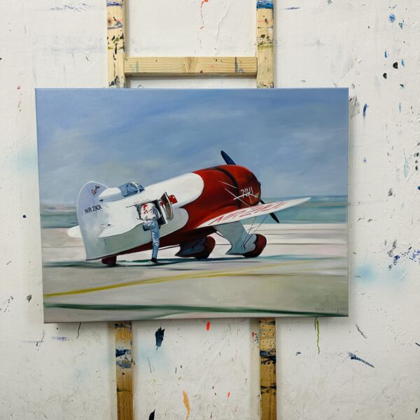 Farbenfrohes Luftfahrt Gemälde, realistische Auftragsmalerei eines Spaceplane in modernen Ölfarben, detailreiche Kunst für Flugzeugenthusiasten, Kunstdruck für Hangar oder Atelier.