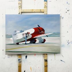 acrylbilder malen lassen vom künstler Flugzeug